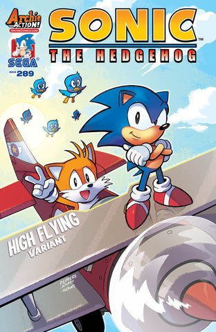 SONIC THE HEDGEHOG #289 VARIANT